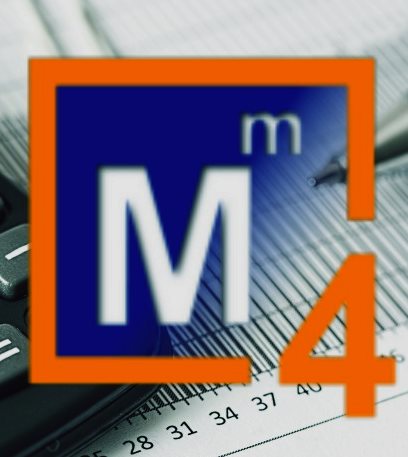 Mali Müşavir Programı