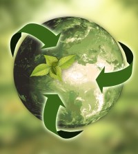 Mali Müşavir Programı